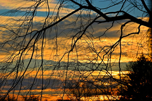 1755797 (a): :4200x2800